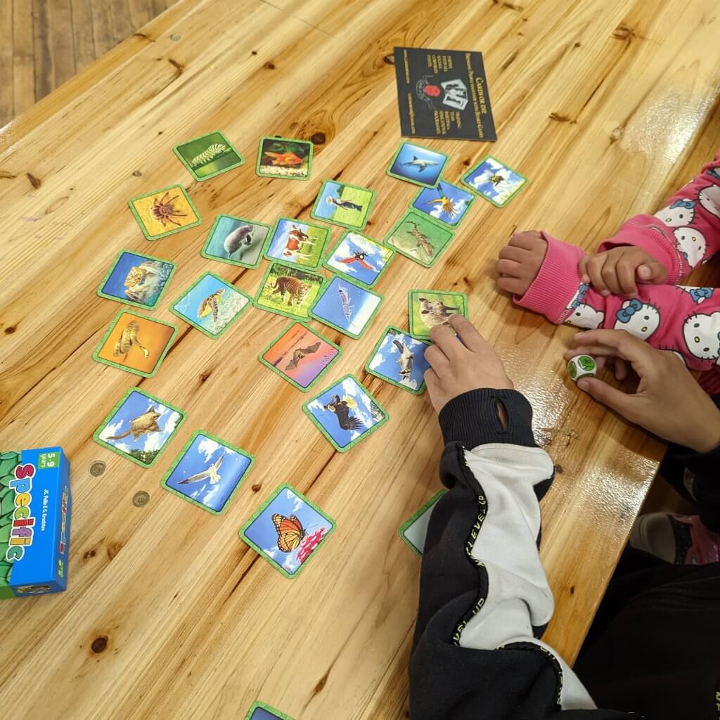 Specific card game - picture shows cards/ tiles with images of animals on and a child holding a dice and touching a card. 